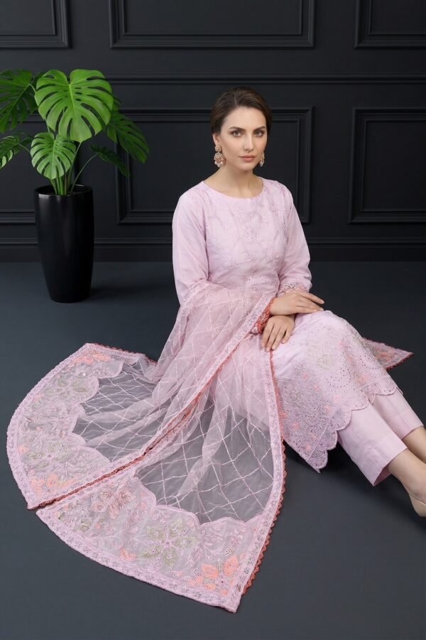 6 (2).jpe Blush Lattice Unstitched Embroidered Silk Suit